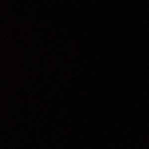 Meet your Posher, Carolyn